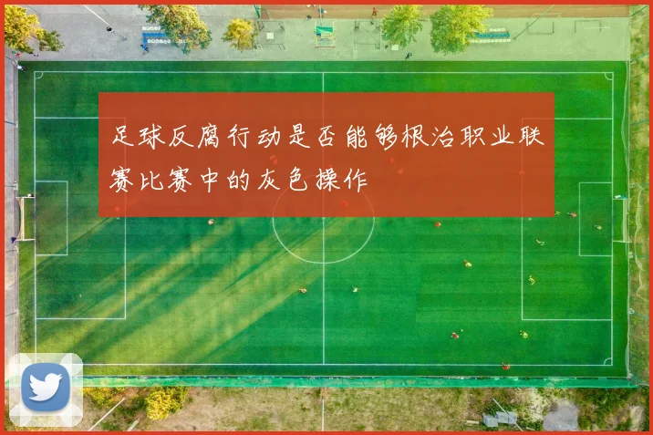 足球反腐行动是否能够根治职业联赛比赛中的灰色操作