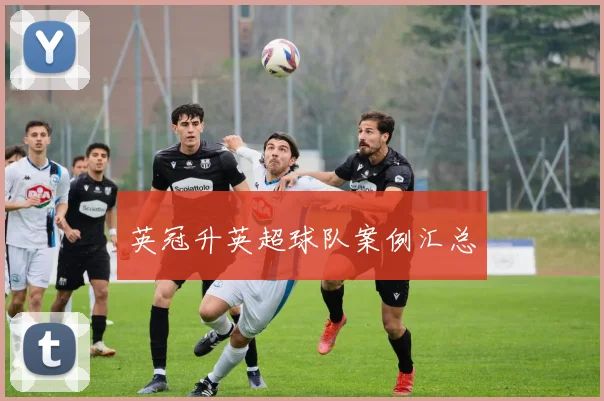 英冠升英超球队案例汇总