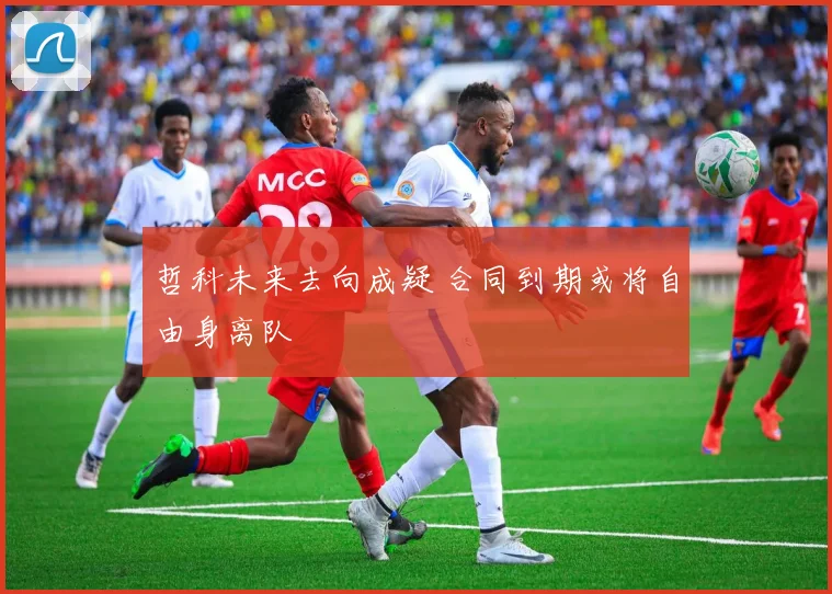 哲科未来去向成疑 合同到期或将自由身离队