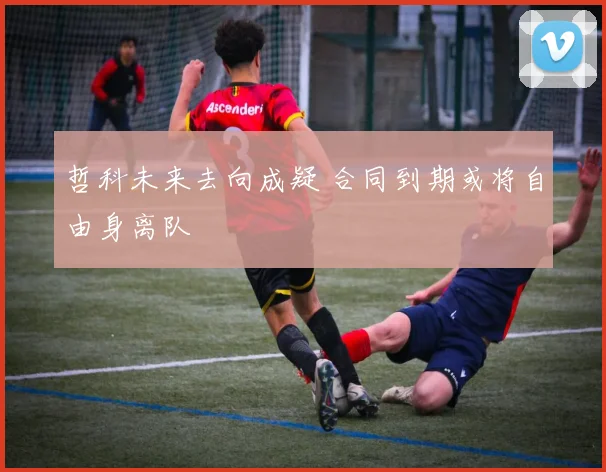 哲科未来去向成疑 合同到期或将自由身离队