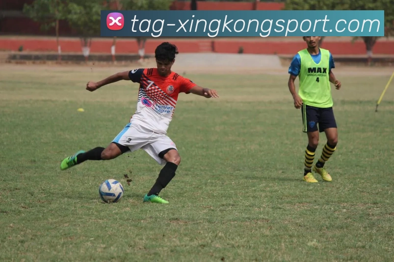 App Interface Preview